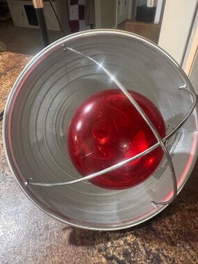 Hangzhou Heat Lamp Model L300w with Bulb 120V Indoor Use Only